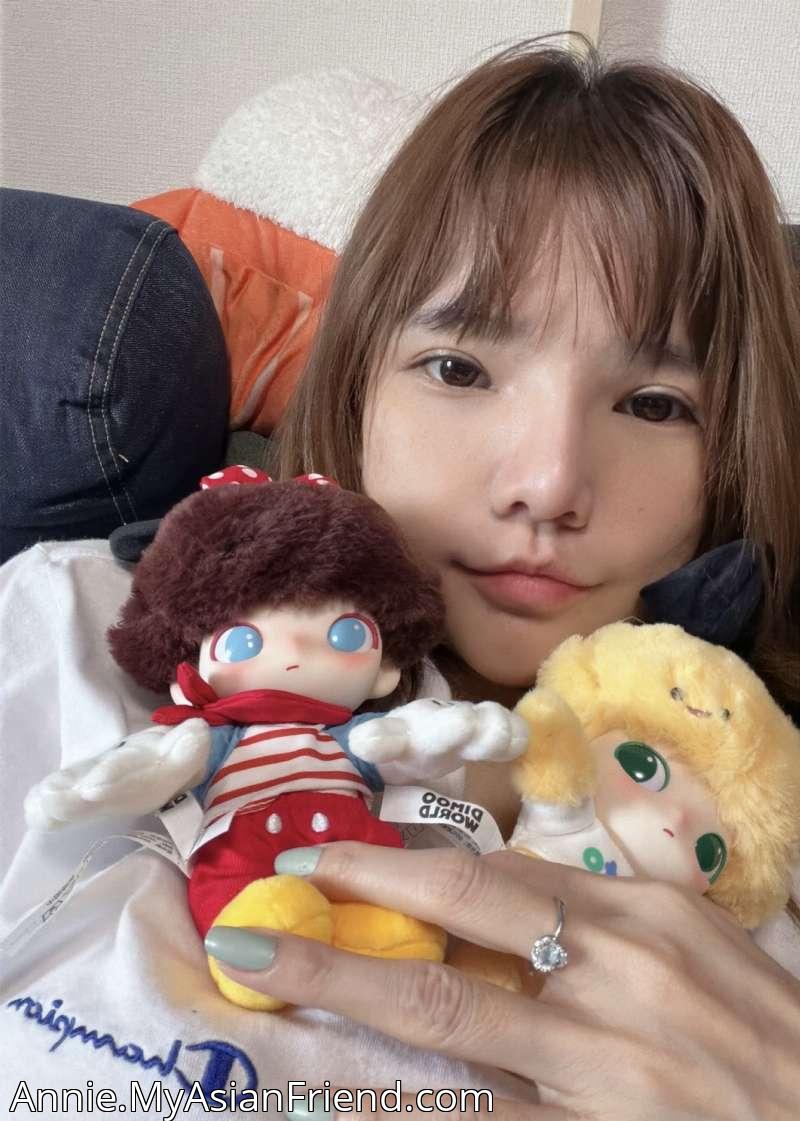 Plushie Collection, Your Toy Fund